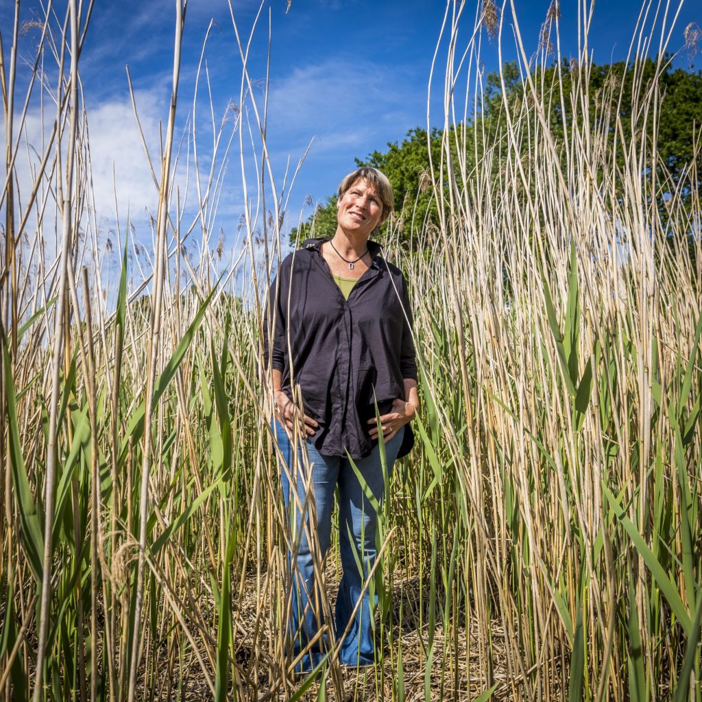 Anne Quéméré, supplément Attractivité de la Cornouaille Vivre en Cornouaille. Si c’était ça le bonheur ? réalisé avec le magazine Bretons (n°167 Pourquoi tout le monde veut vivre en Bretagne ?, août/septembre 2020). 