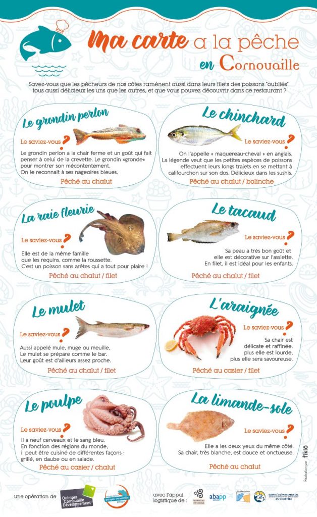 Ma carte a la pèche! Les restaurateurs subliment les poissons oubliés en Cornouaille