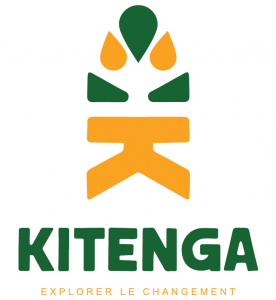 Logo Kitenga